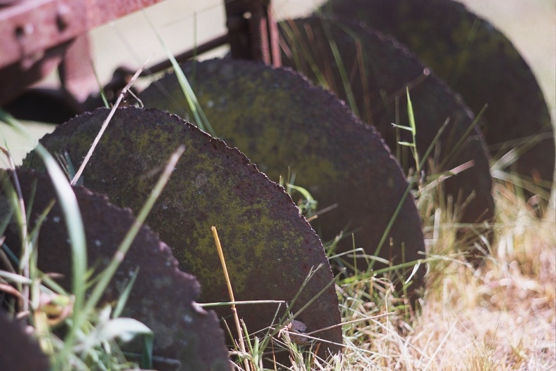 Gladie Creek &amp; Red River